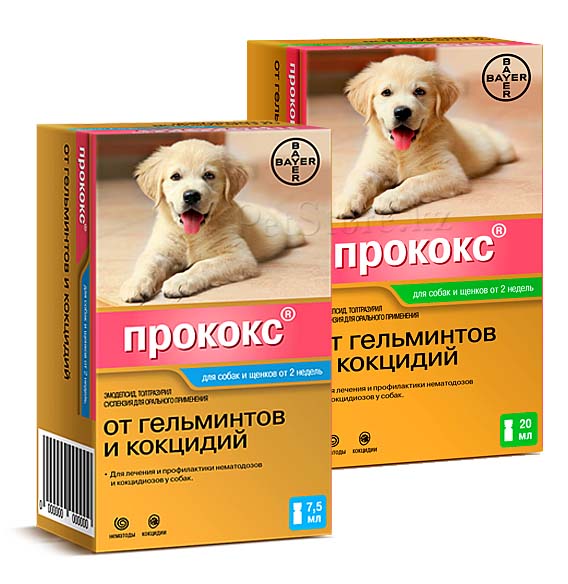 Procox (Прококс) антигельминтная суспензия для собак, 3 900 тг .
